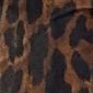 Image Attribute