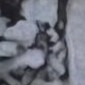 Image Attribute
